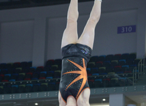 Bakıda Dünya Kubokunun iştirakçısı olan gimnastların podium məşqləri. Azərbaycan, 18 fevral, 2016